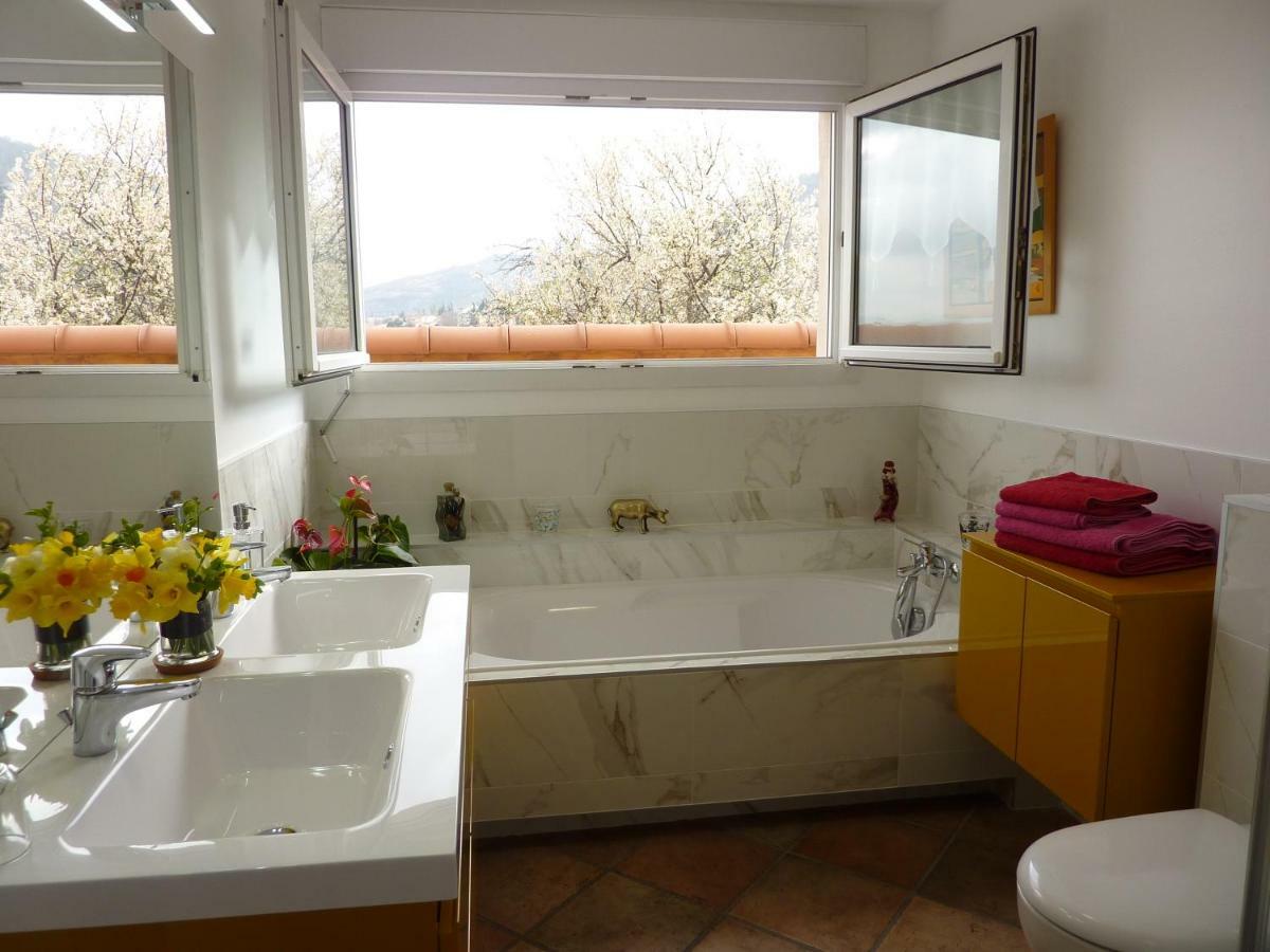 Les Terrasses De Bellemoure Cebazat Apartman Kültér fotó